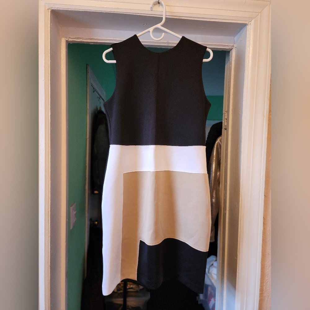 Reed women's midi sophisticated dress.